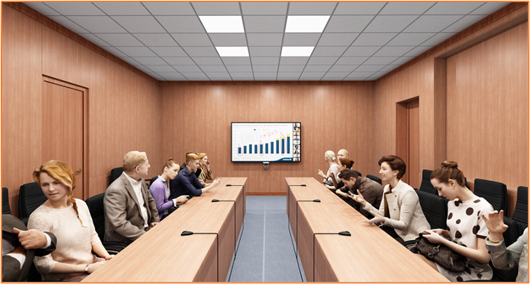 Boardrooms Meetings problems(Video & Local)