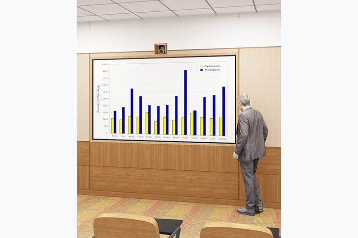 Problems in Hybrid Teaching